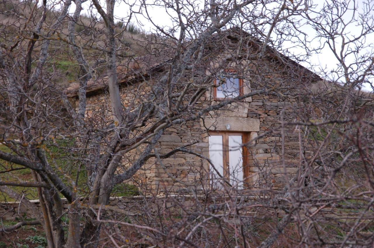 Quinta Da Alagoa Vila Santa Maria de Émeres Exterior foto