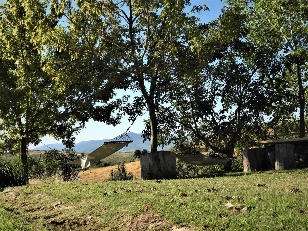 Quinta Da Alagoa Vila Santa Maria de Émeres Exterior foto