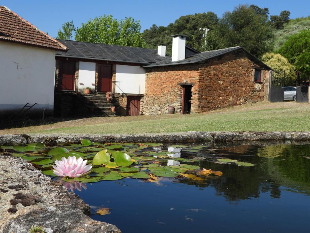 Quinta Da Alagoa Vila Santa Maria de Émeres Exterior foto