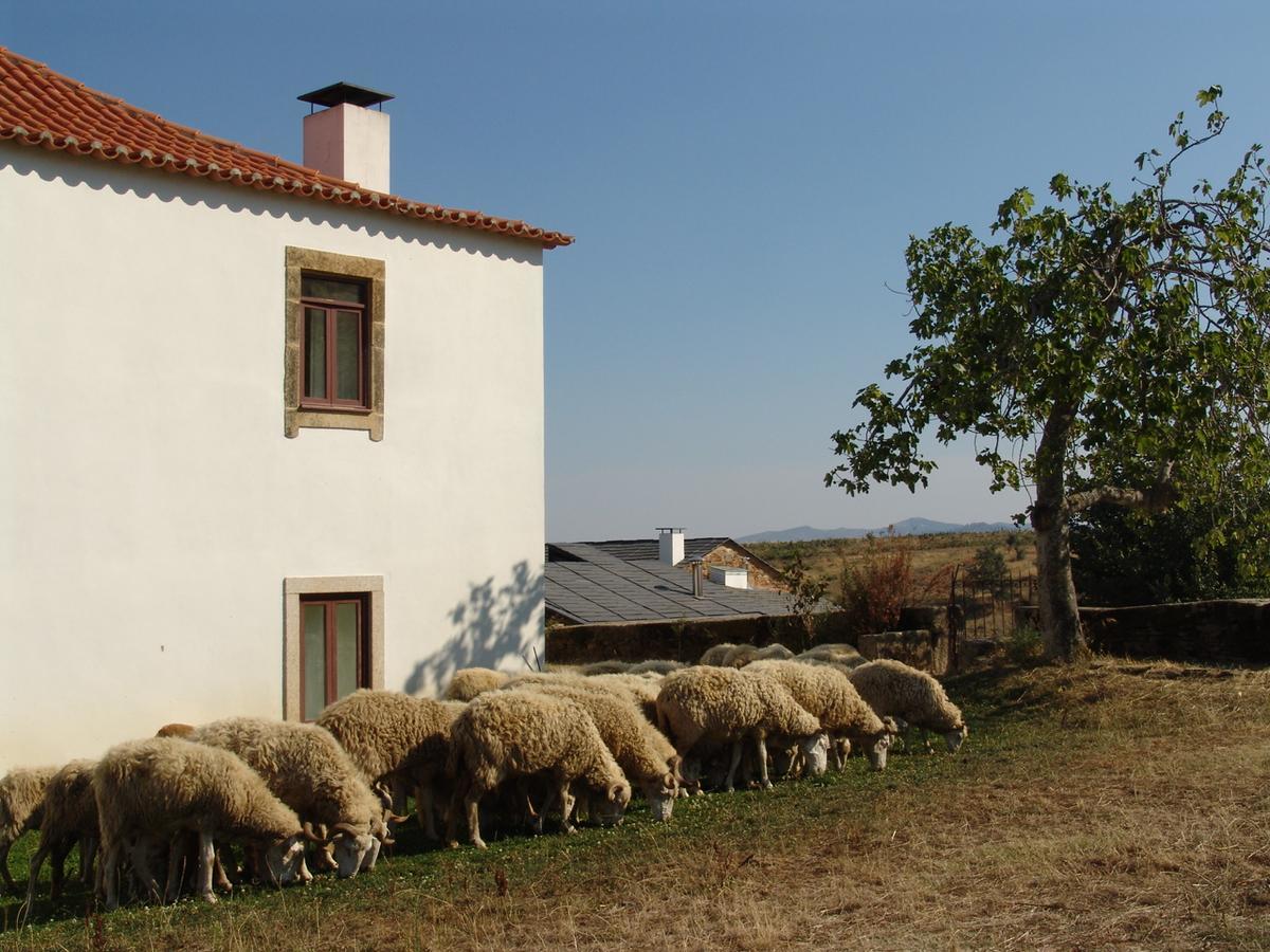 Quinta Da Alagoa Vila Santa Maria de Émeres Exterior foto